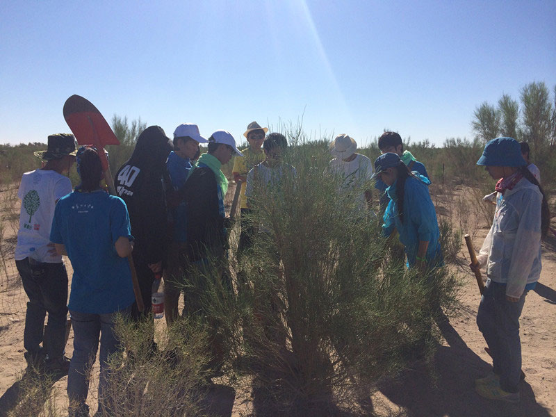 ������Ҫ��һ���ļ��ɺͽ�(j��ng)���ͬ�W(xu��)���_ʼ������һƬ�����ַ��ز����^�m(x��)�����[�ص��󶴡�