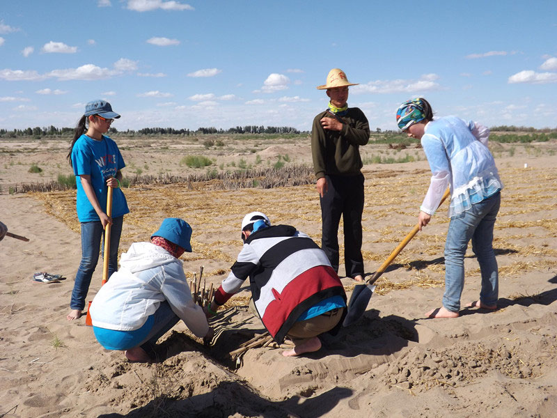 �@�N1.5��Ҋ�������ݸ�������ɳЧ����������^4��5���͕��L(f��ng)�g��������Ҫ�����a����