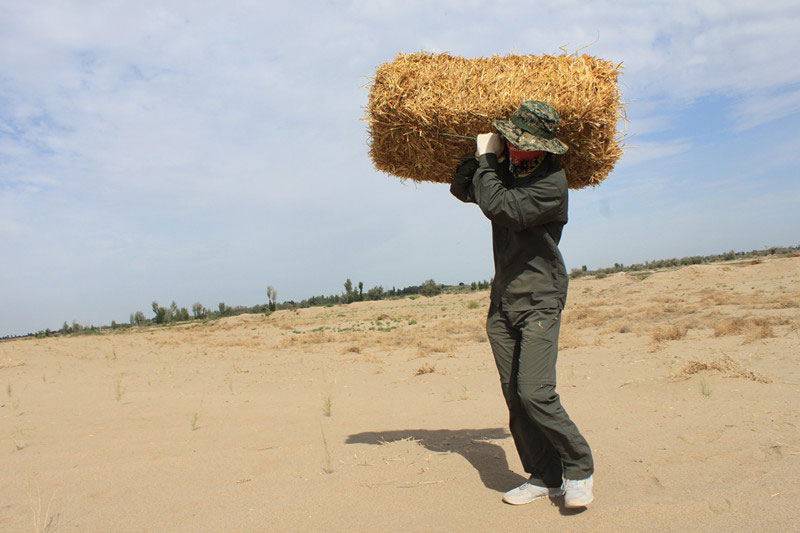 �F�T���i�������ݣ����ϳ����������������؟(z��)����