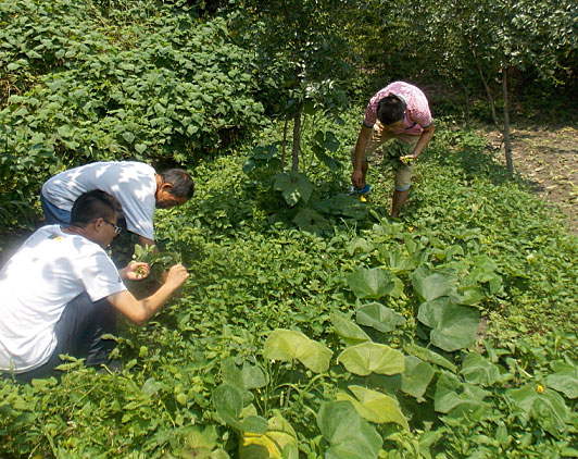 �ڶ������(du��)�T���_ʼ�������B(t��i)�r(n��ng)���w�(y��n)�r(n��ng)��������������ժ�ˡ�