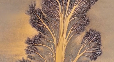 大自然的杰作！錢塘江又現(xiàn)“潮汐樹”